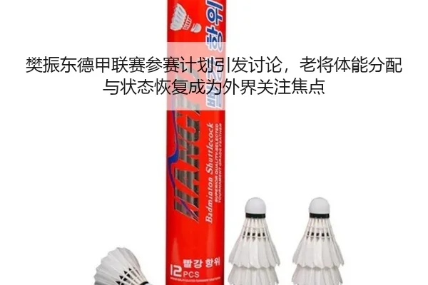 樊振东德甲联赛参赛计划引发讨论，老将体能分配与状态恢复成为外界关注焦点